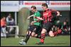Hedel 1 - Wadenoijen 1 - fe2404210341.jpg